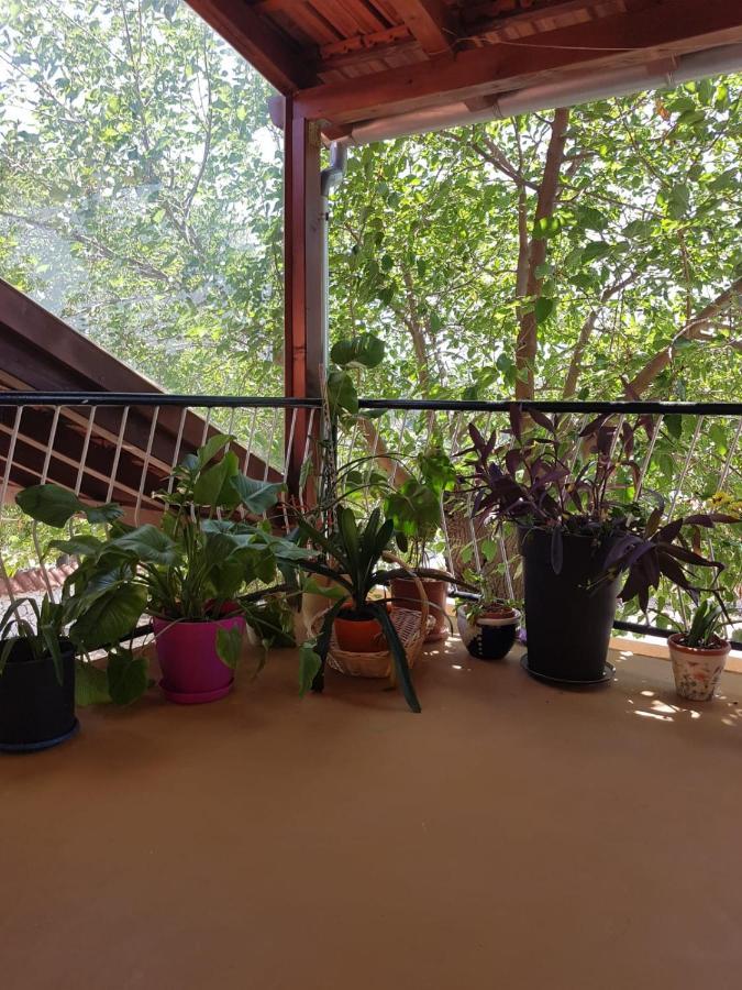 Apartmani Corleone Bilice Exterior photo